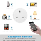 Smart WiFi Socket 20A UK Plug with Energy Monitoring - Voice Control - Compatible with Alexa & Google Home