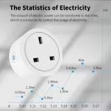 Smart WiFi Socket 20A UK Plug with Energy Monitoring - Voice Control - Compatible with Alexa & Google Home